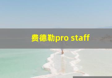 费德勒pro staff